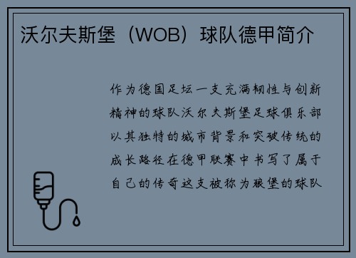 沃尔夫斯堡（WOB）球队德甲简介