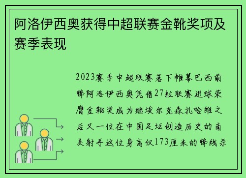 阿洛伊西奥获得中超联赛金靴奖项及赛季表现